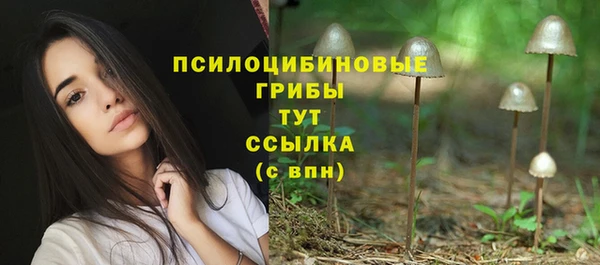 PSILOCYBIN Нефтегорск