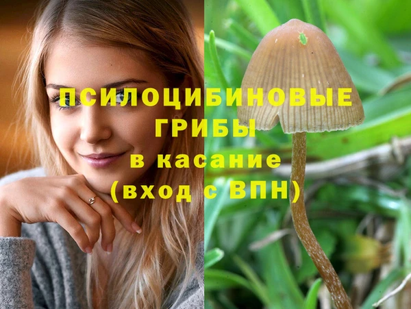 прущие крисы Новодвинск