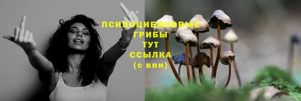 соль курить ск Нефтекумск