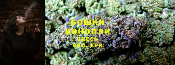 PSILOCYBIN Нефтегорск
