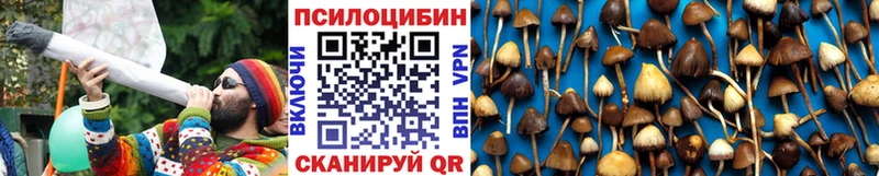 Галлюциногенные грибы Psilocybe  где найти наркотики  Нефтекумск 