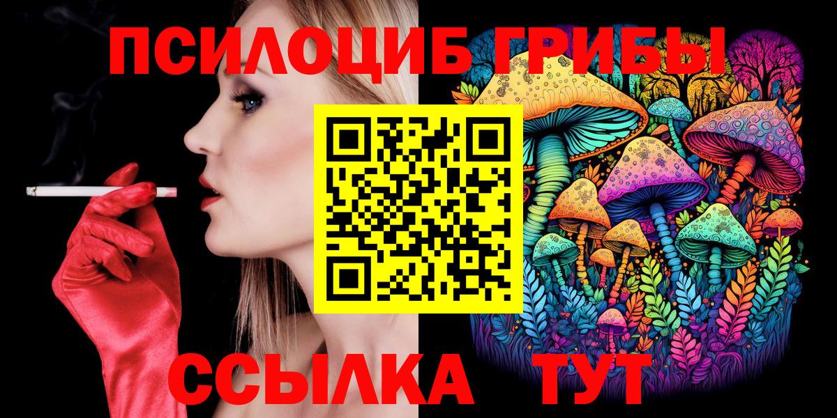 купить наркоту  Вход с VPN  Галлюциногенные грибы Psilocybine cubensis  Нефтекумск  Галлюциногенные грибы Psilocybe 