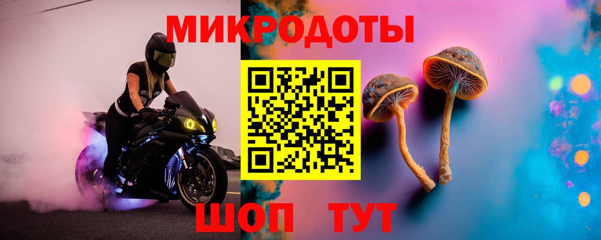 Псилоцибиновые грибы ЛСД Нефтекумск